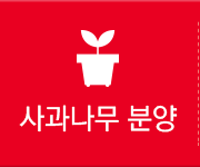 사과나무신청하기